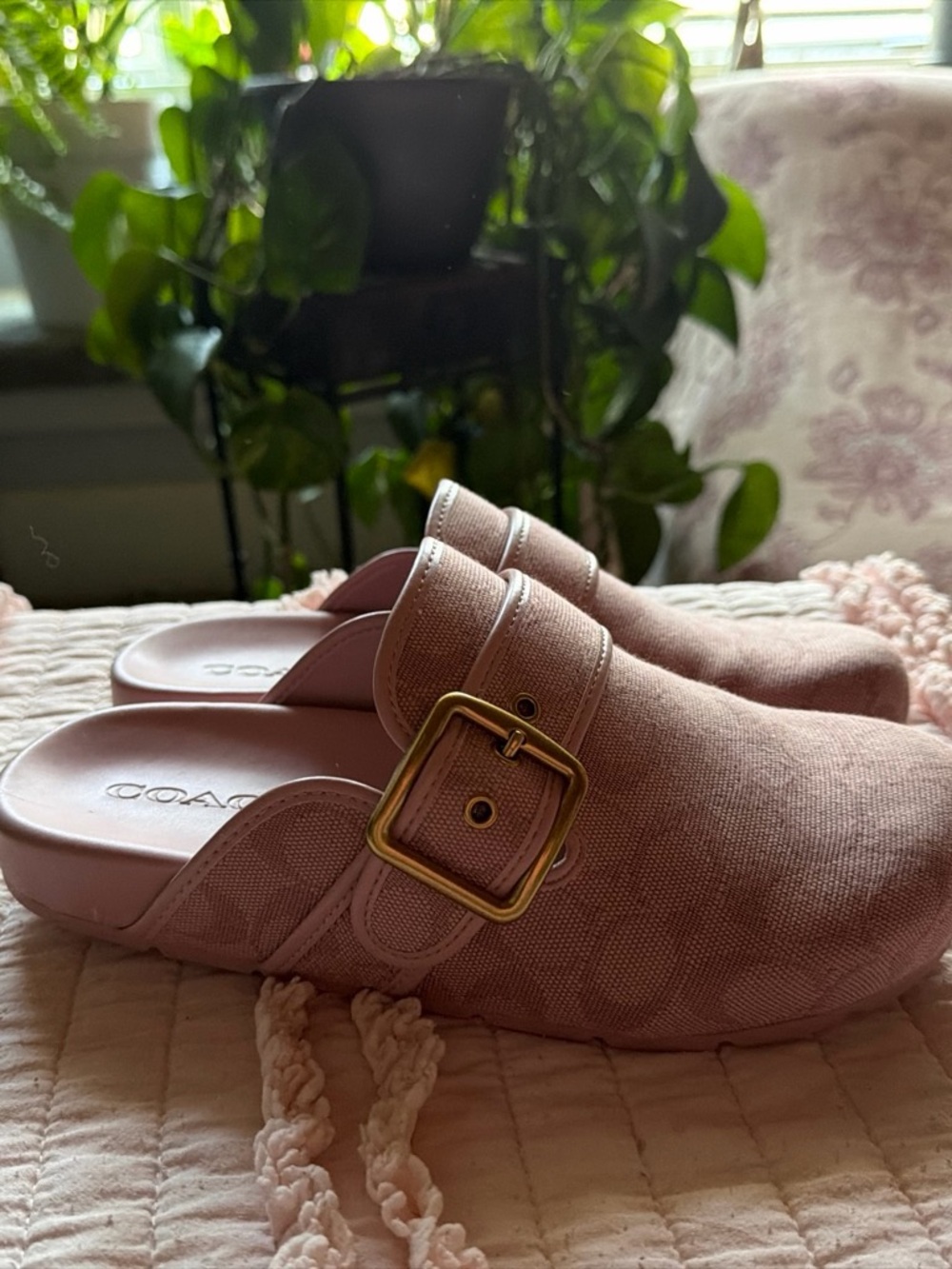 NEW COACH Dusty Pink Buckle Slip-On Mules women's size 8